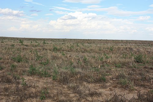 Property photo 73 - LAND AUCTION, 3255+/- Acres offered in 13 Tracts